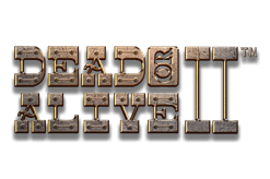 Dead or Alive 2